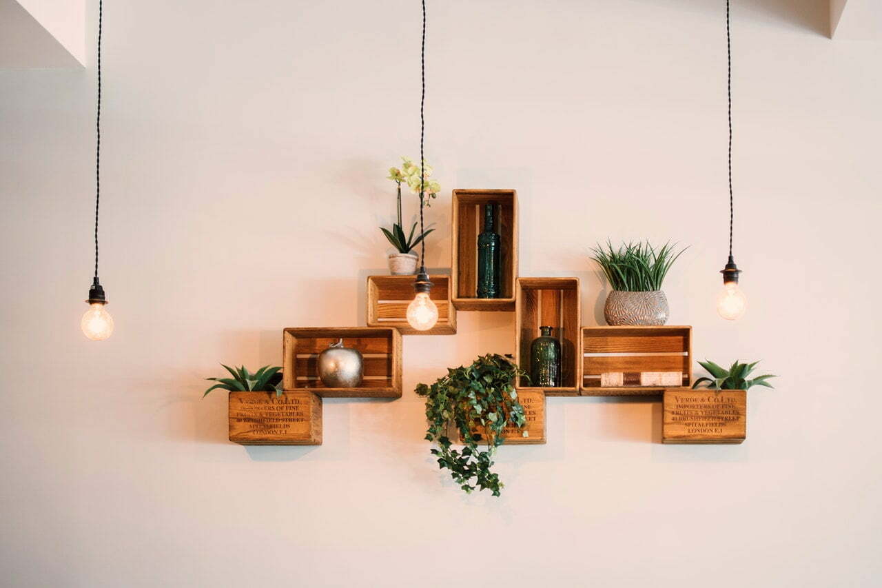 a room with a few plants and a fireplace
